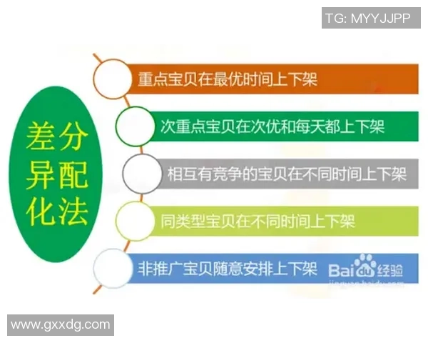 武汉羽毛球队运营策略深度分析与成功经验分享