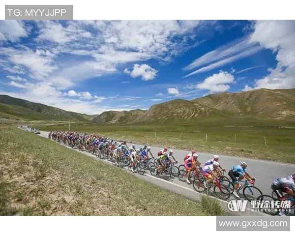 洲际赛分析：V5在比赛经验上的突出表现与成长之路