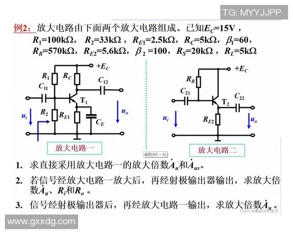 杭州网球队灵活性分析与提升策略探讨